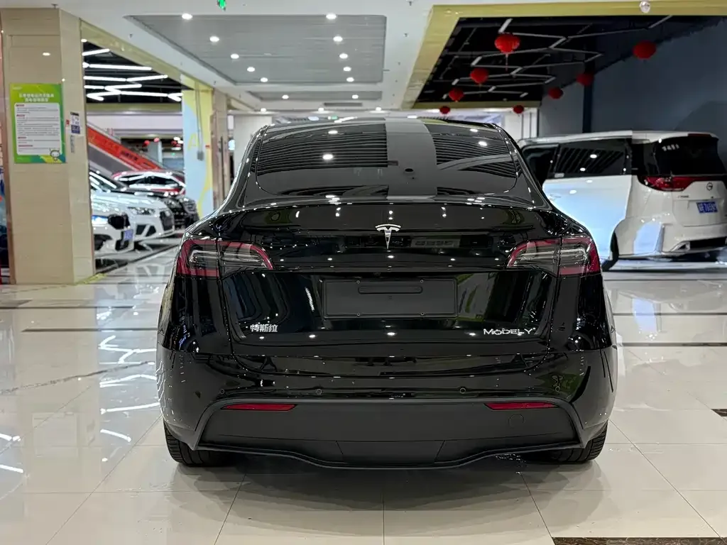 Tesla Model Y — фото 6