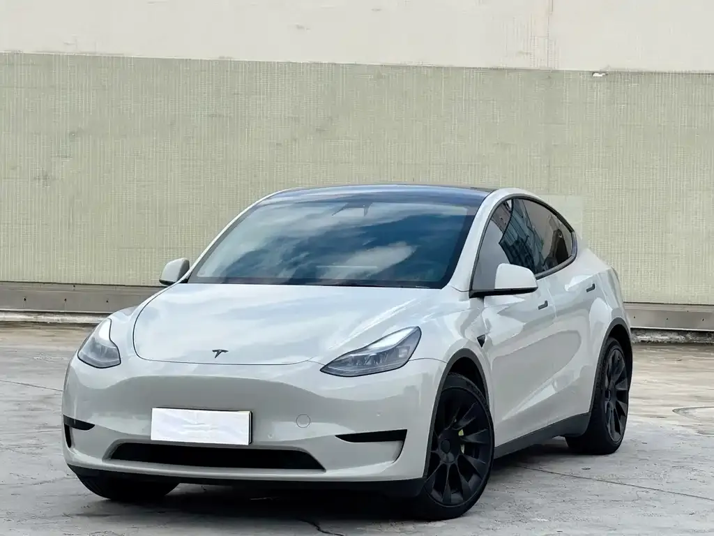 Tesla Model Y — фото 1