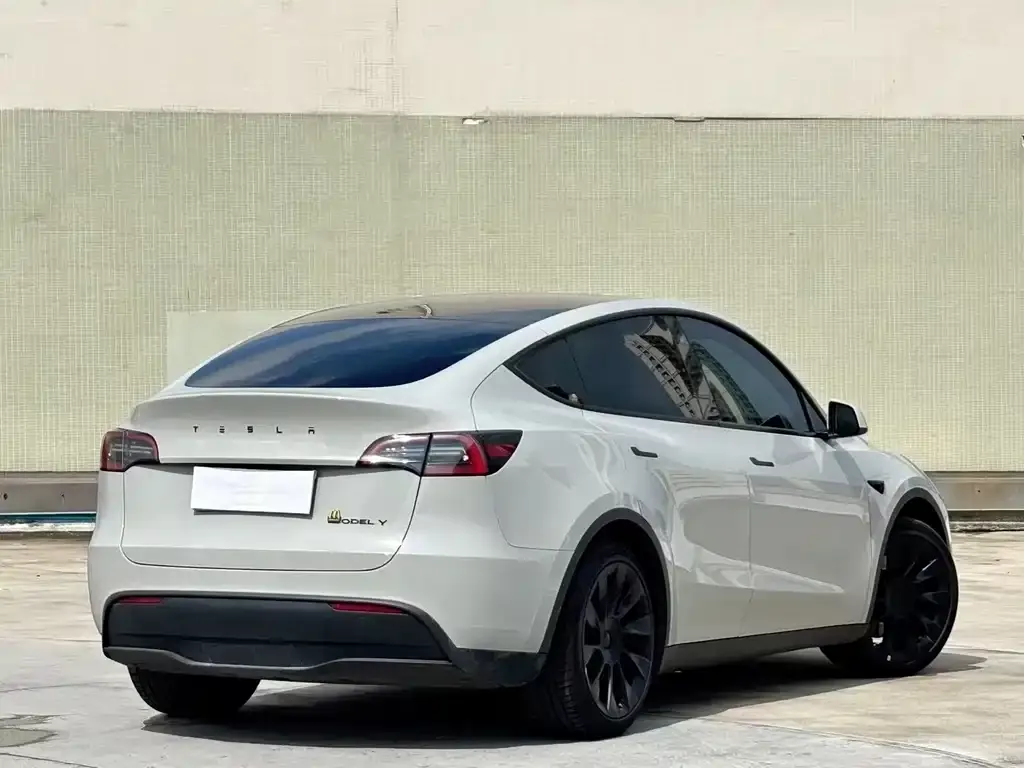 Tesla Model Y — фото 9