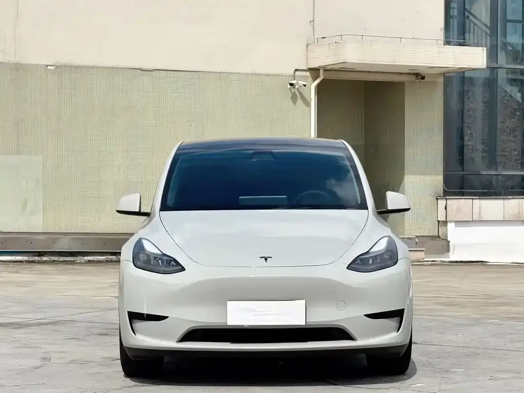Tesla Model Y — фото 2
