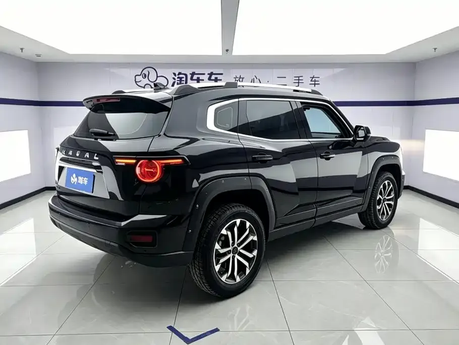 Haval H7 (Big Dog Plus) — фото 4
