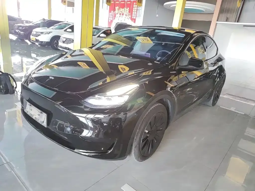 Tesla Model Y — фото 10