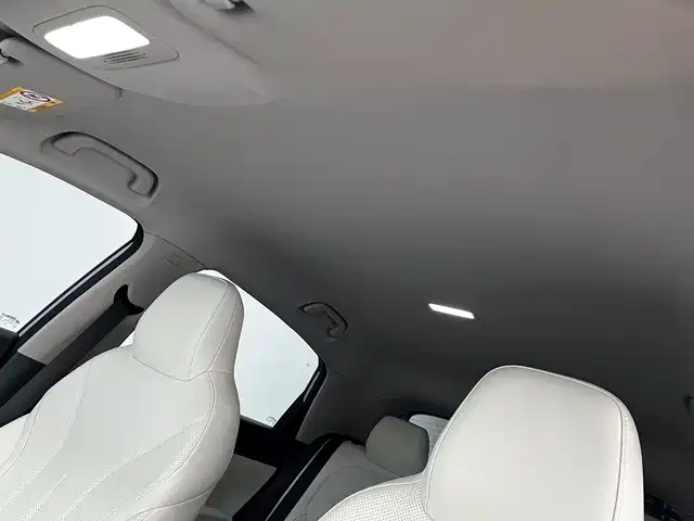 Geely Starburst — фото 6