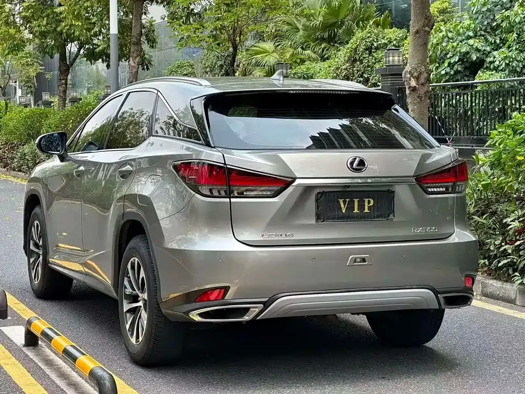 Lexus RX 2021 из CN, фото 9