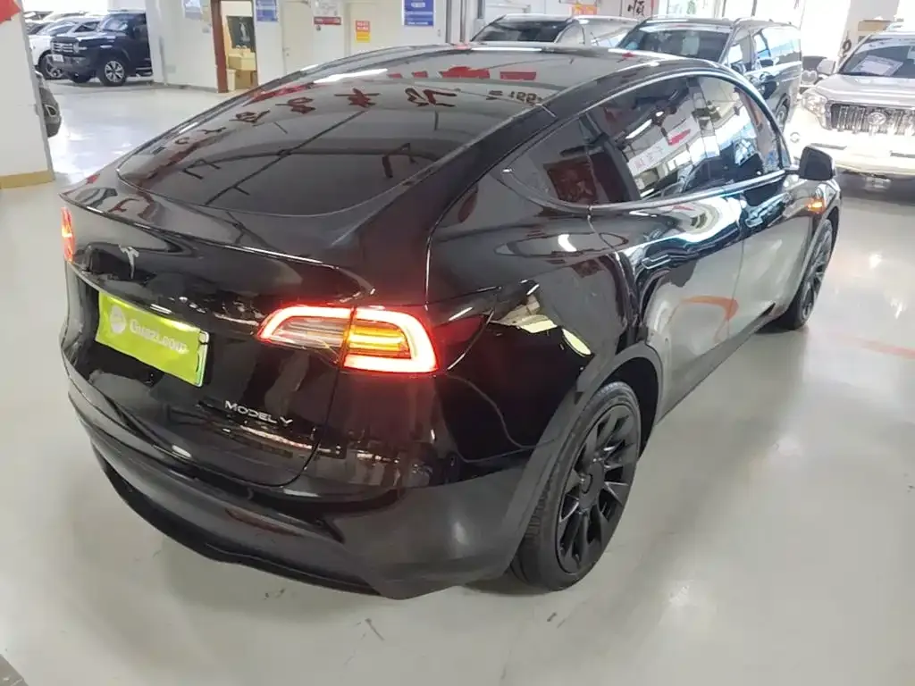 Tesla Model Y — фото 8