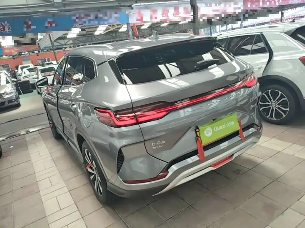 BYD PLUS New Energy — фото 8