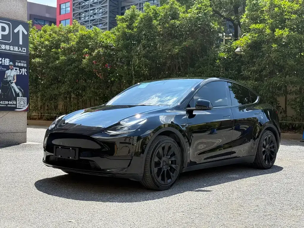 Tesla Model Y — фото 1