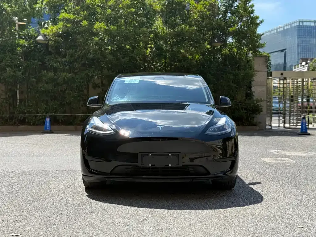 Tesla Model Y — фото 5