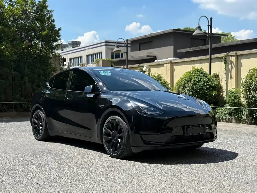 Tesla Model Y — фото 6