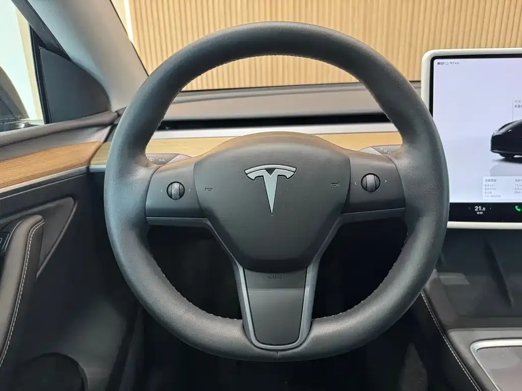 Tesla Model Y — фото 2