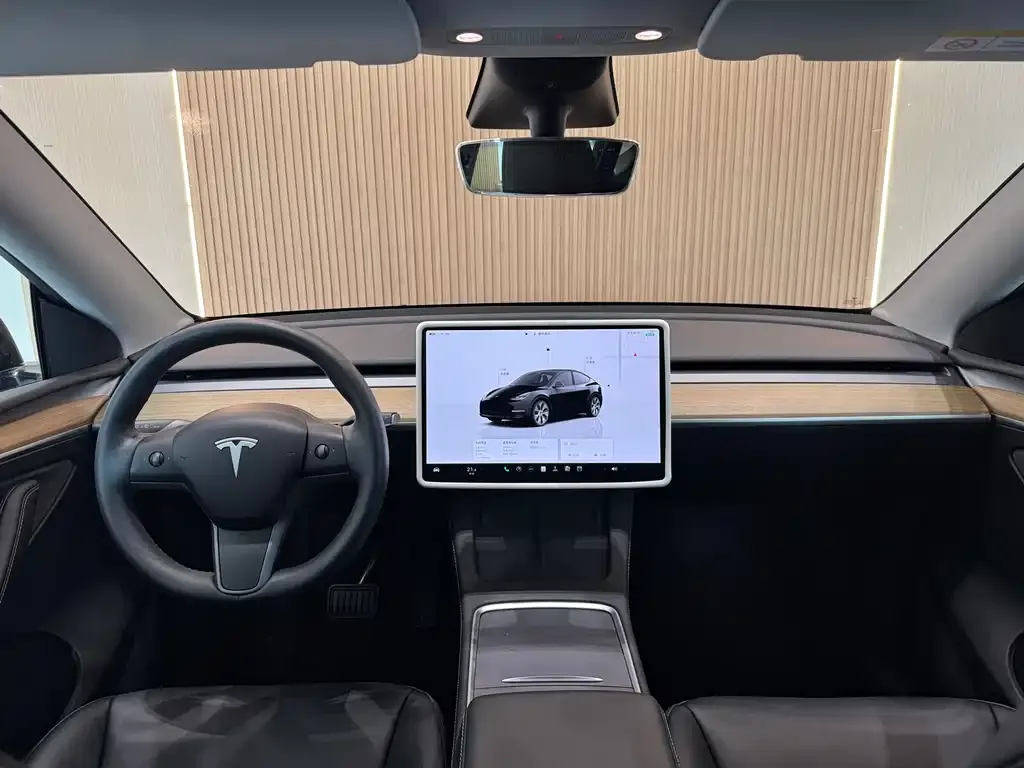 Tesla Model Y — фото 10