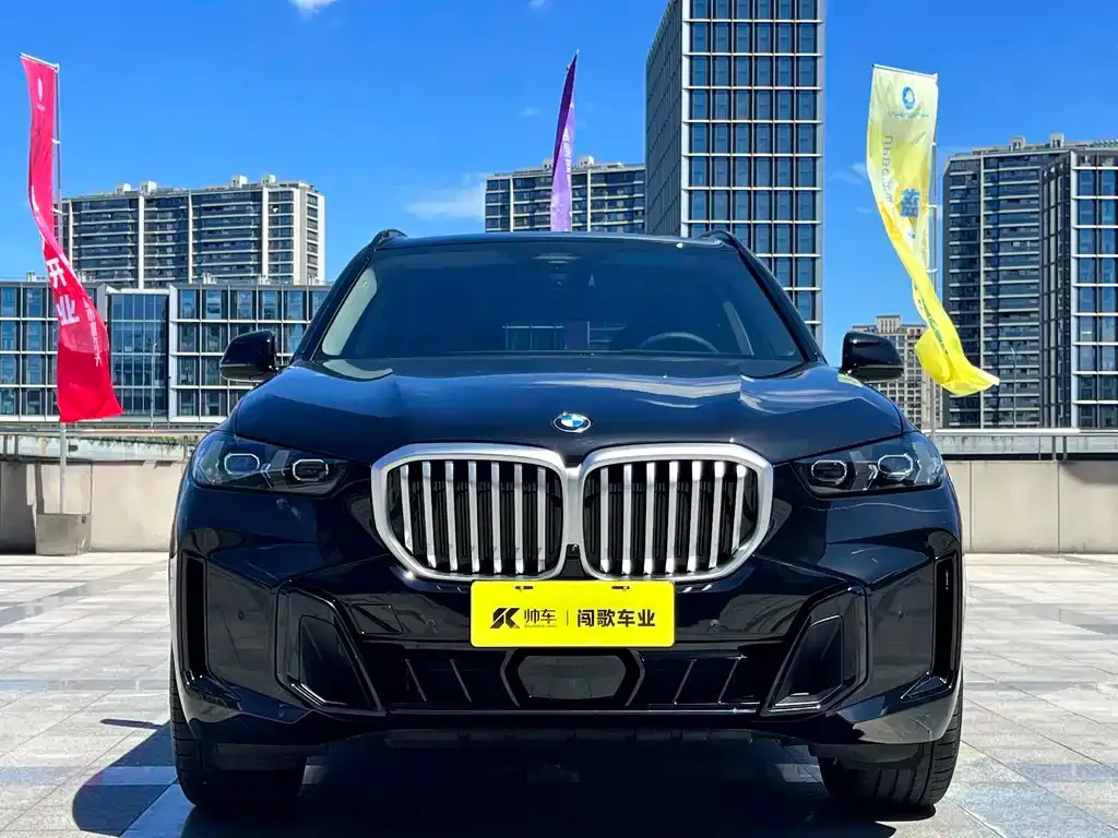 BMW X5 — фото 10