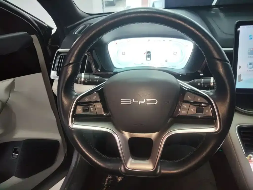 BYD PLUS New Energy — фото 5