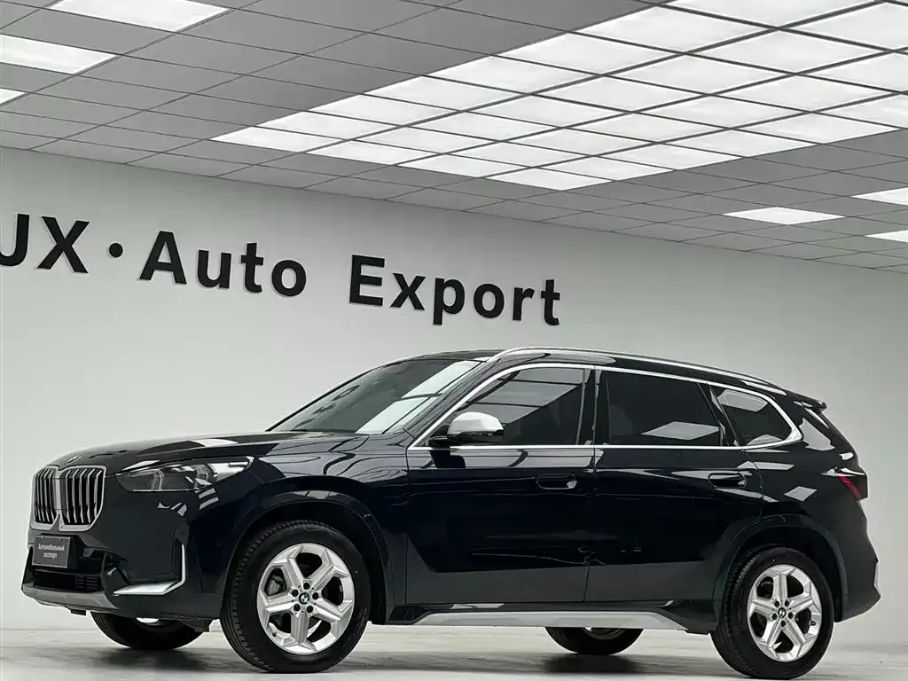 BMW X1 — фото 10