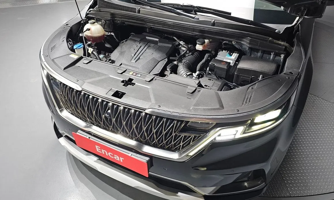 Kia Carnival — фото 10