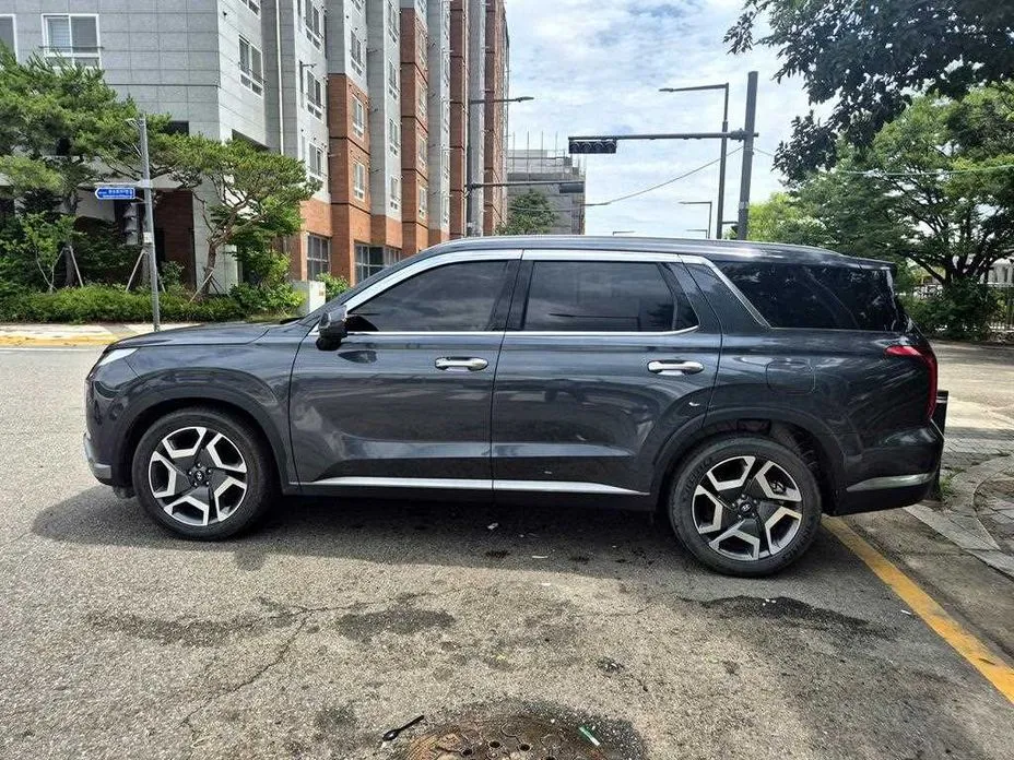 Hyundai Palisade — фото 6