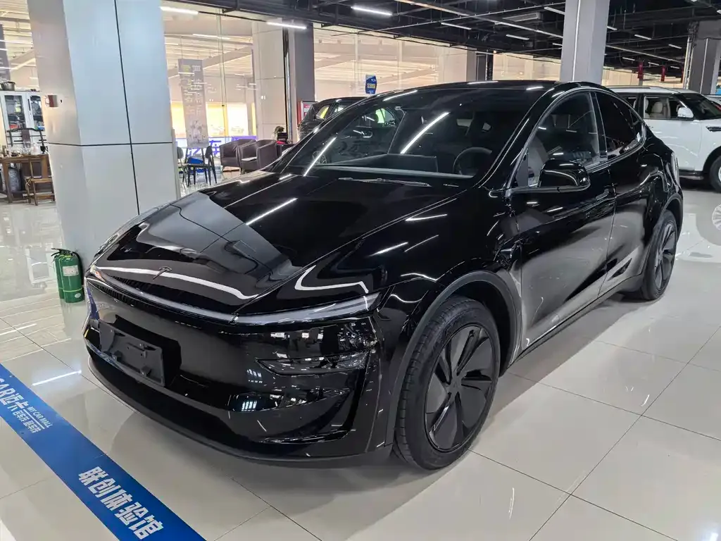Tesla Model Y — фото 1