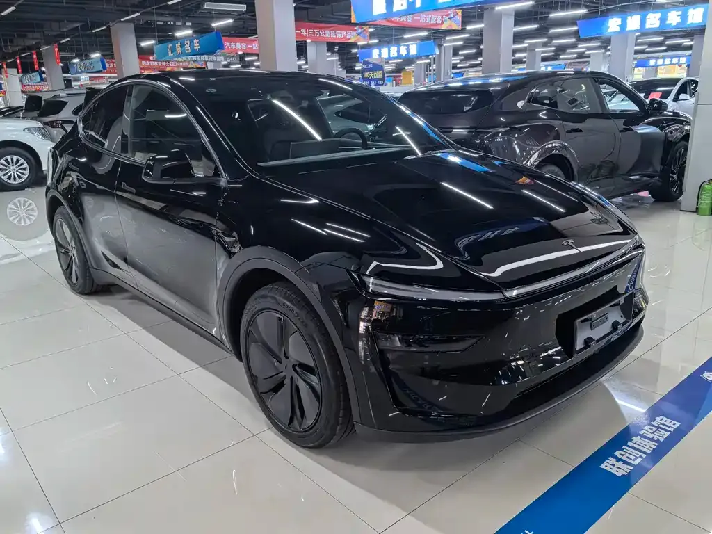 Tesla Model Y — фото 5