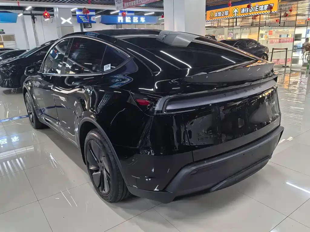 Tesla Model Y — фото 10