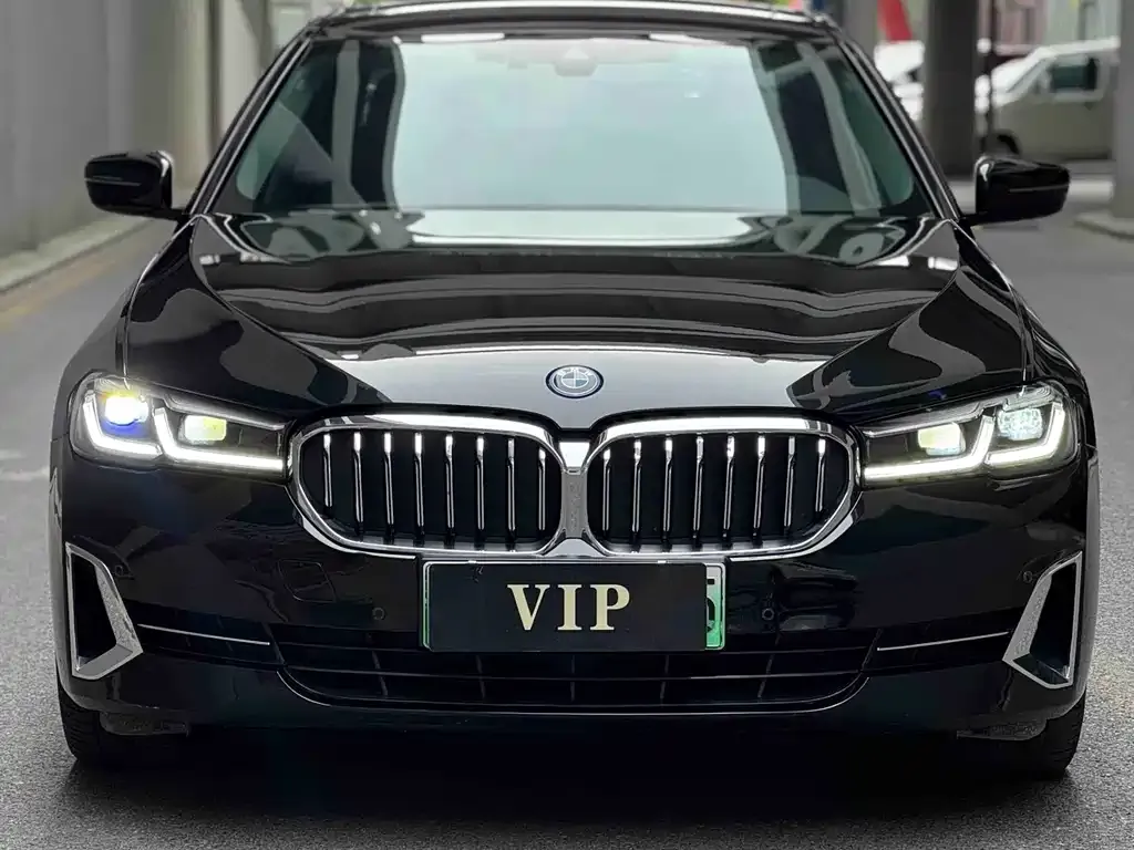 BMW 5 Series New Energy 2022 из CN, фото 3