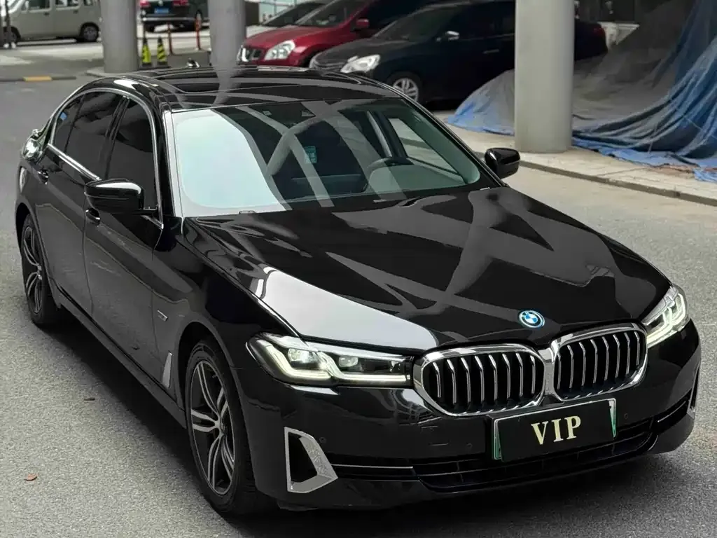 BMW 5 Series New Energy 2022 из CN, фото 4