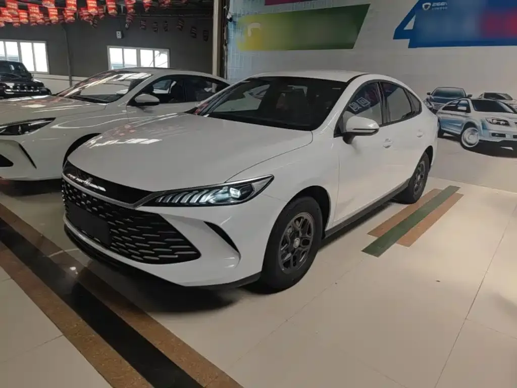 BYD Qin PLUS — фото 1