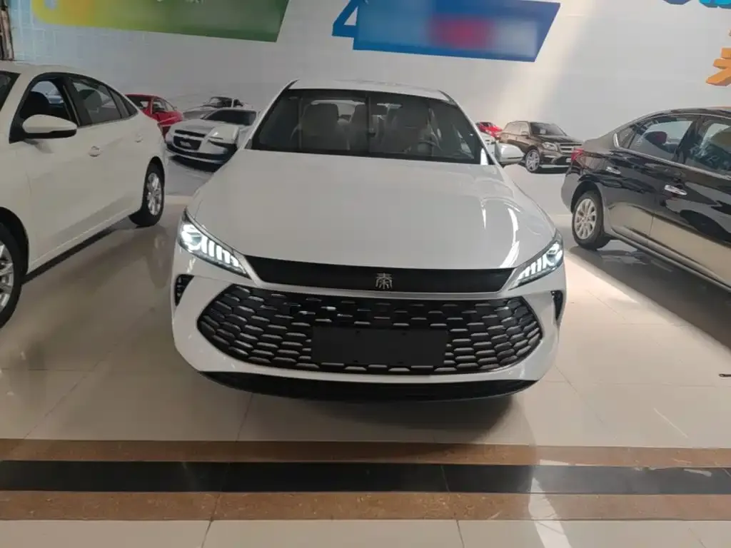 BYD Qin PLUS — фото 10