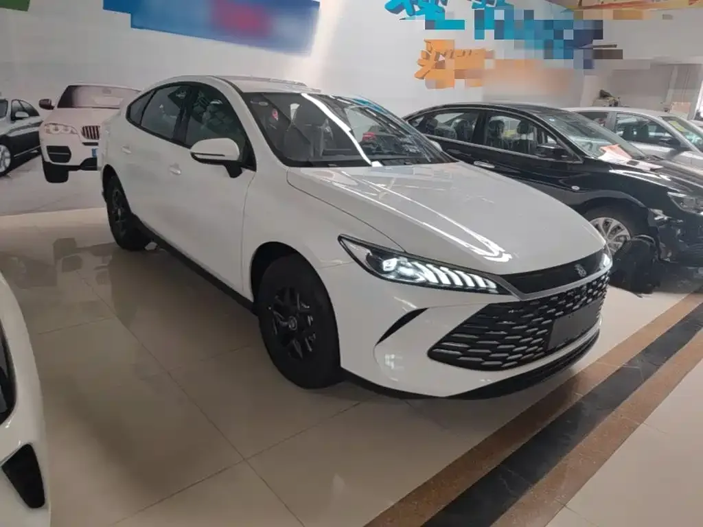 BYD Qin PLUS — фото 4
