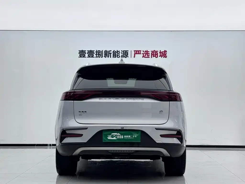 BYD Tang New Energy — фото 3