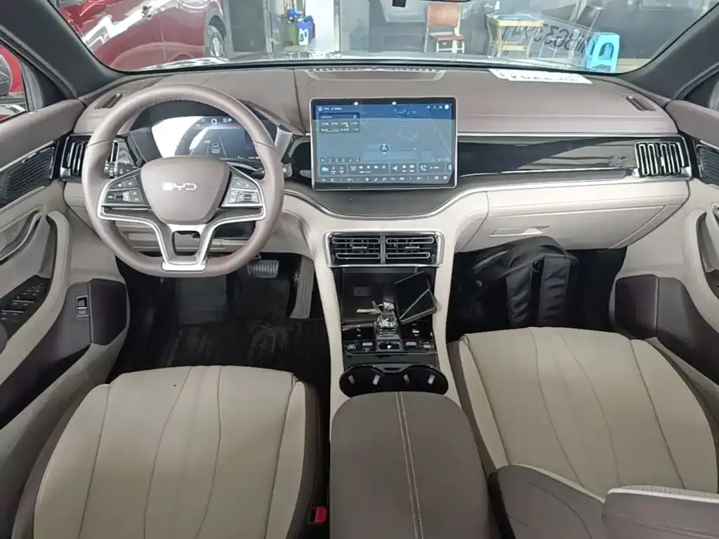 BYD PLUS New Energy — фото 6