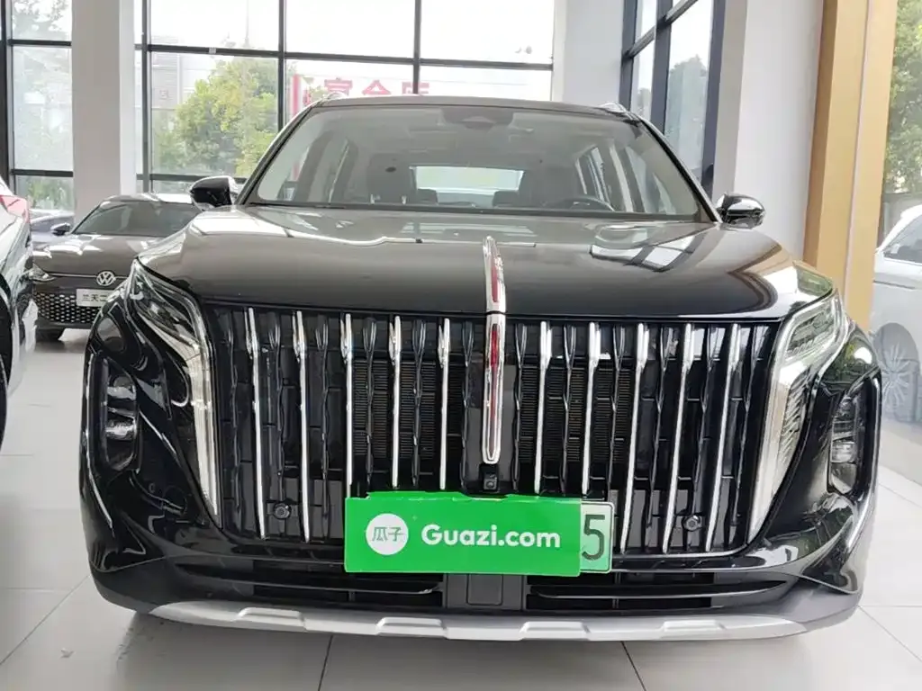 Hongqi HS7 PHEV 2024 из CN, фото 5