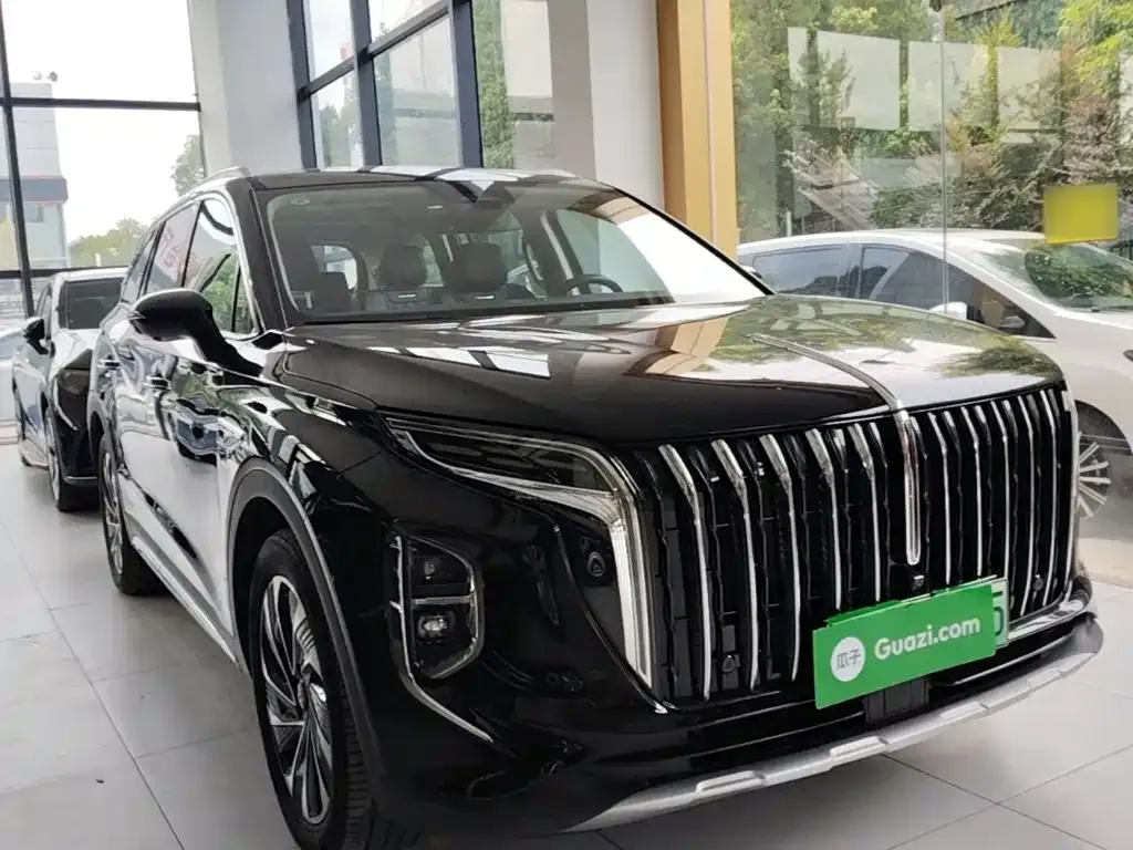 Hongqi HS7 PHEV 2024 из CN, фото 8