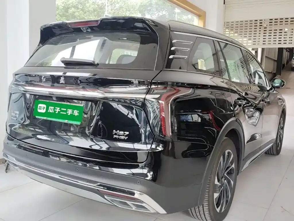 Hongqi HS7 PHEV 2024 из CN, фото 9
