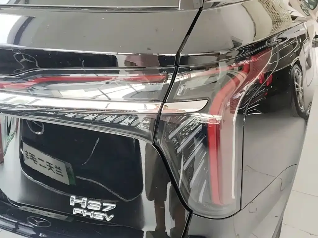 Hongqi HS7 PHEV 2024 из CN, фото 7