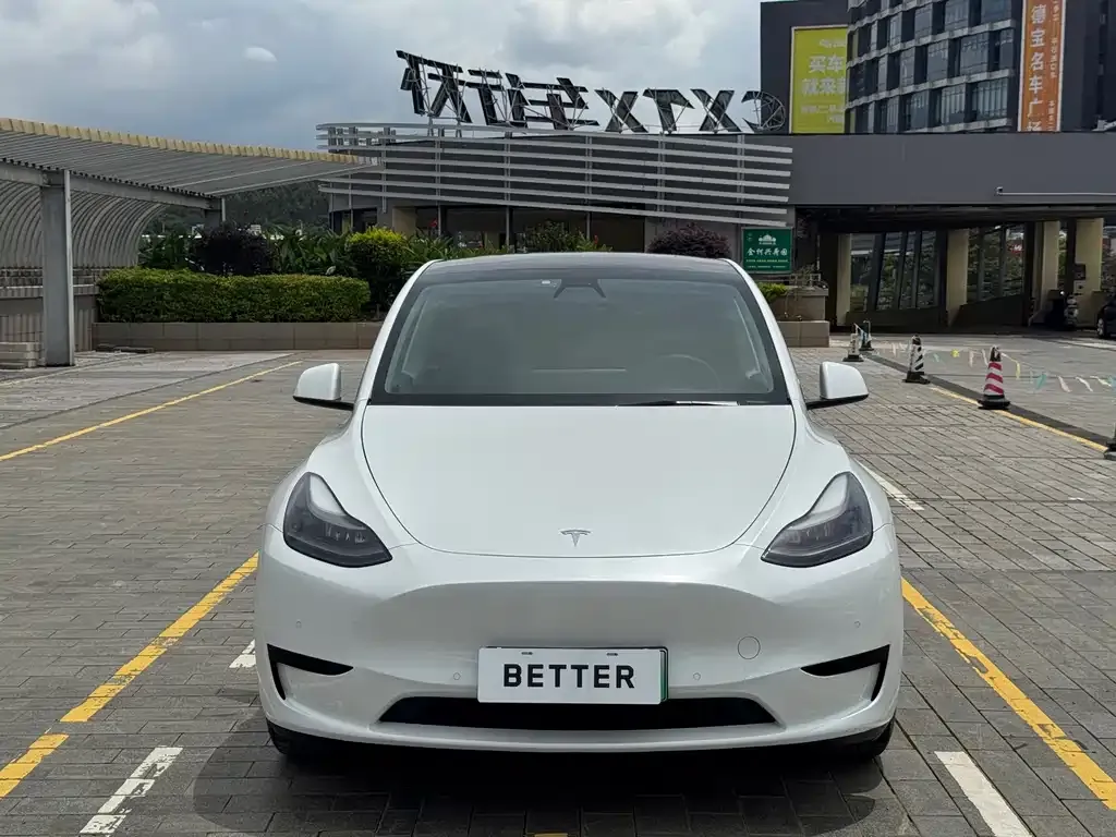 Tesla Model Y — фото 10