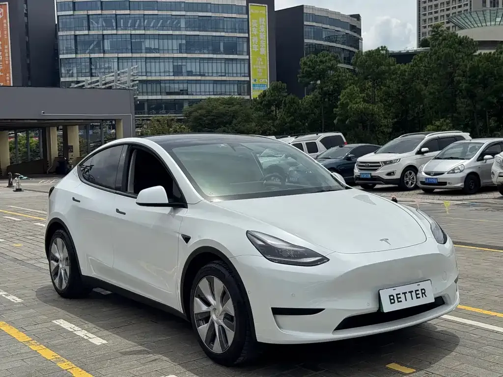 Tesla Model Y — фото 2