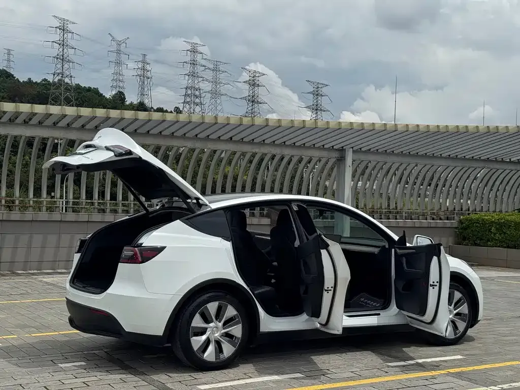 Tesla Model Y — фото 6