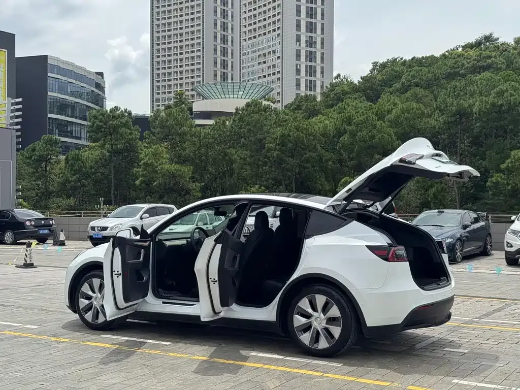 Tesla Model Y — фото 8