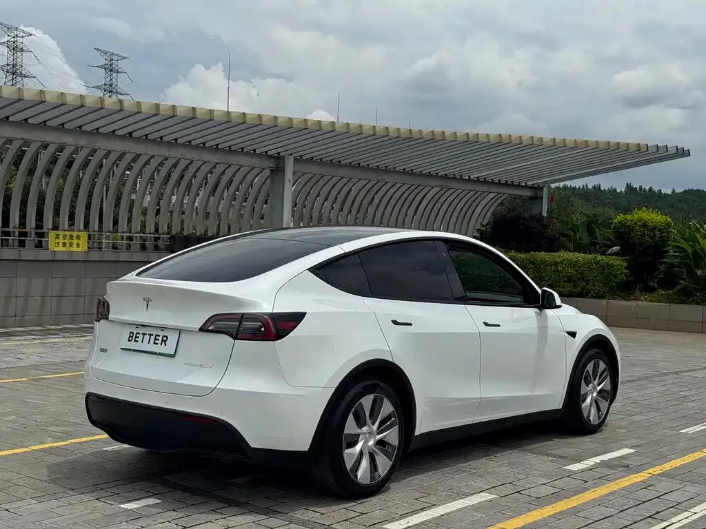 Tesla Model Y — фото 9