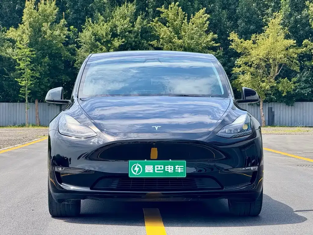 Tesla Model Y — фото 3