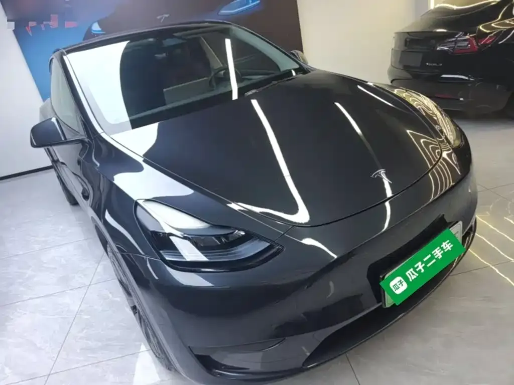 Tesla Model Y — фото 9