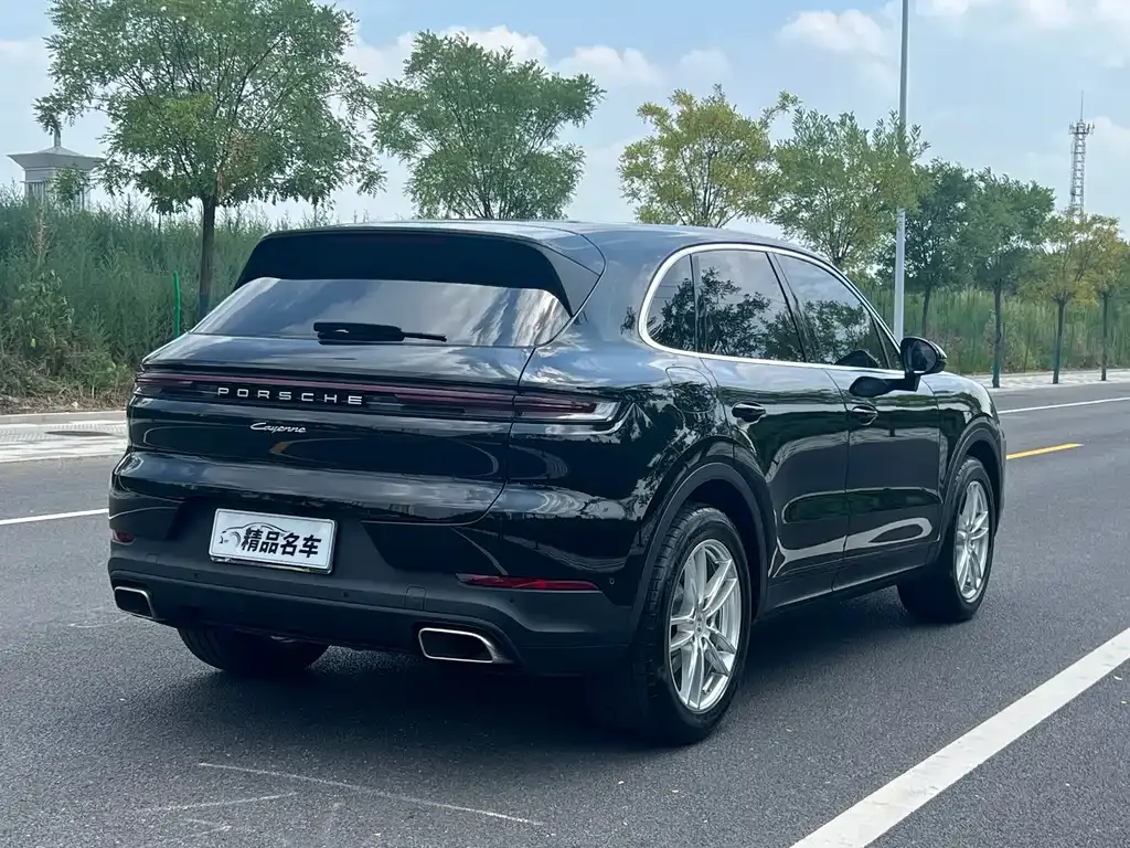 Porsche Cayenne — фото 10