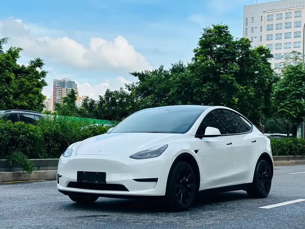 Tesla Model Y — фото 1