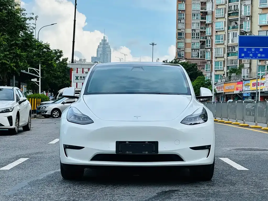 Tesla Model Y — фото 4