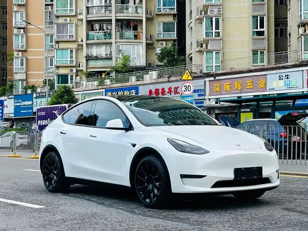 Tesla Model Y — фото 8