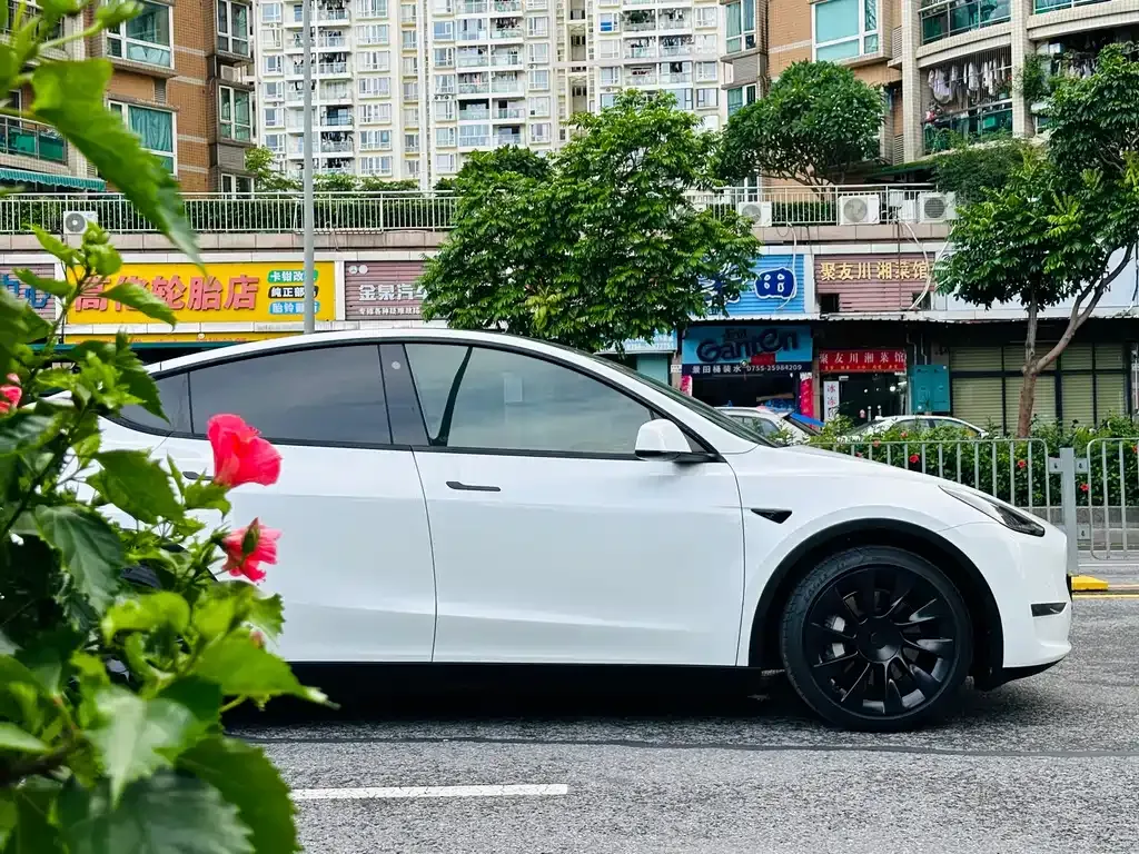 Tesla Model Y — фото 10