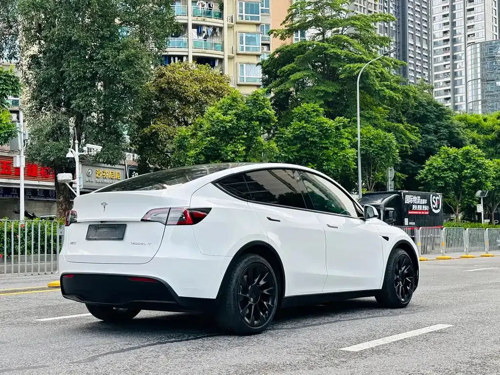 Tesla Model Y — фото 9