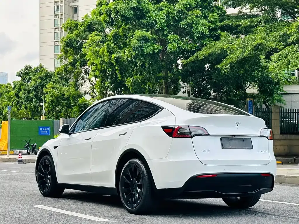 Tesla Model Y — фото 6