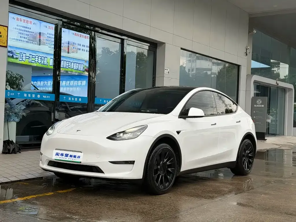 Tesla Model Y — фото 1