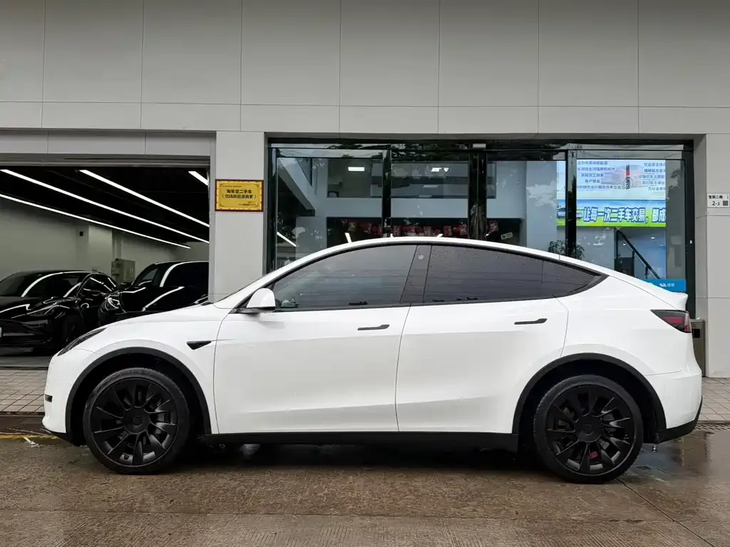 Tesla Model Y — фото 2